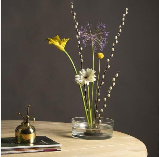 Immagine prodotto Esschert Design Riccio plug-in Kenzan (6.10 cm, 6.10 cm)