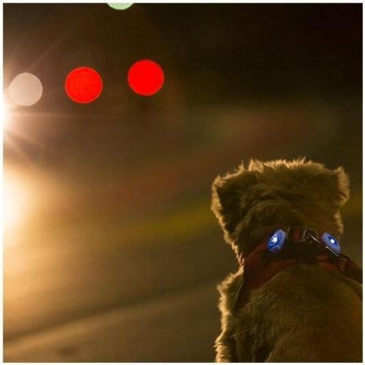 Produktbild Curli Luumi LED (Hund, Allgemein)