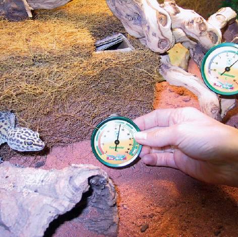 Produktbild JBL Aquaristik und Terraristik Thermometer