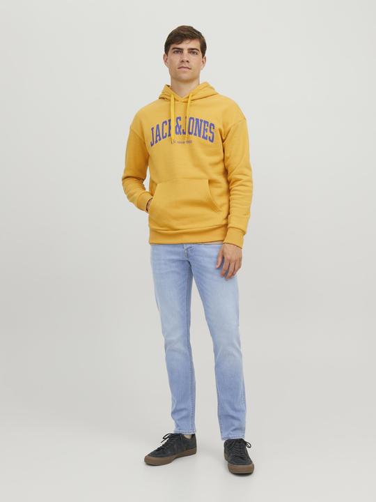 Actual product image Jack & Jones Jjiglenn Jjoriginal Sq 330 Noos (W33/L36)