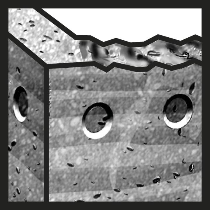 Actual product image Bosch Professional Zubehör Hammer drill bit SDS plus-5, 3 x 50 x 110 mm (3 mm)