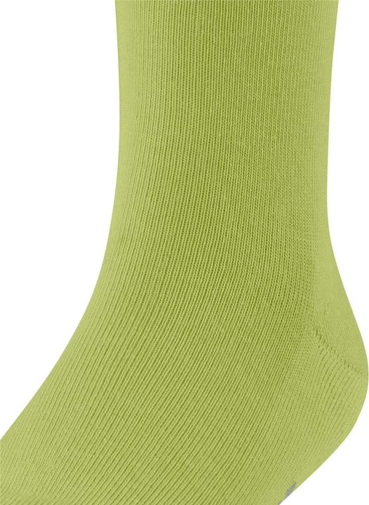 Produktbild Falke Family Kinder (31 - 34)