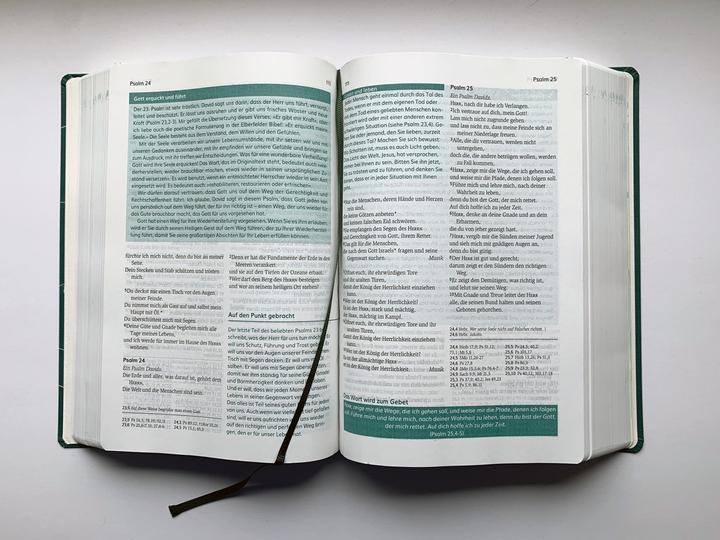 Produktbild Die Bibel mit Impulsen von Joyce Meyer (Deutsch, Joyce Meyer, 2024)
