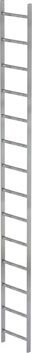 Actual product image Munk Hot-dip galvanised steel shaft ladder 400mm clear width 14 rungs (392 cm)