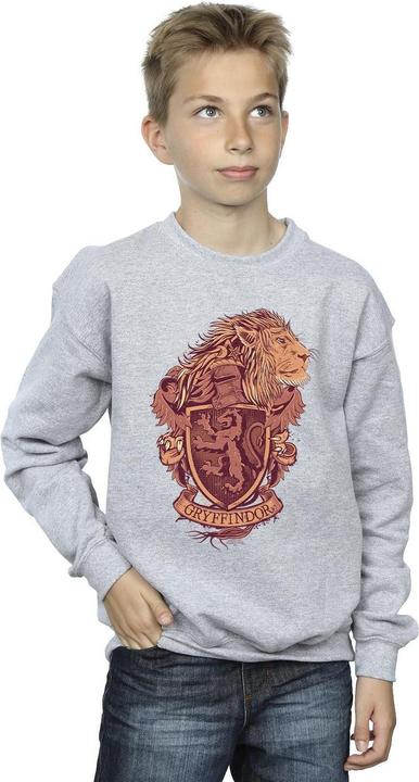 Produktbild Gryffindor Sketch Crest Sweatshirt Jungen (152, 158)
