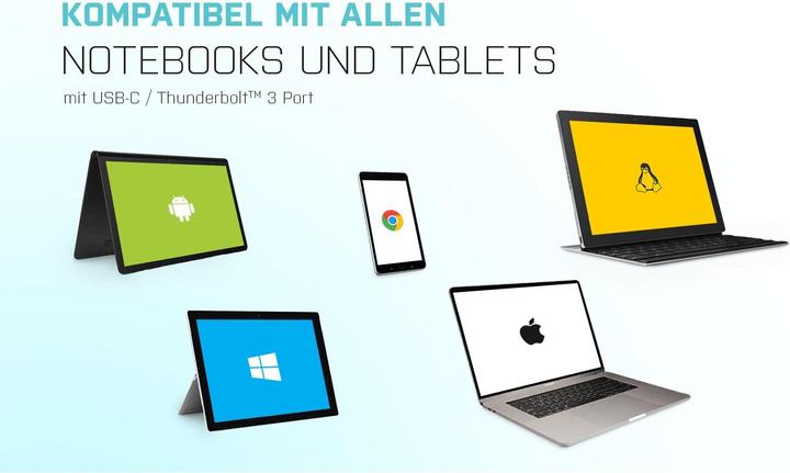 Actual product image i-tec USB Typ-C zu (DP, 15 cm)