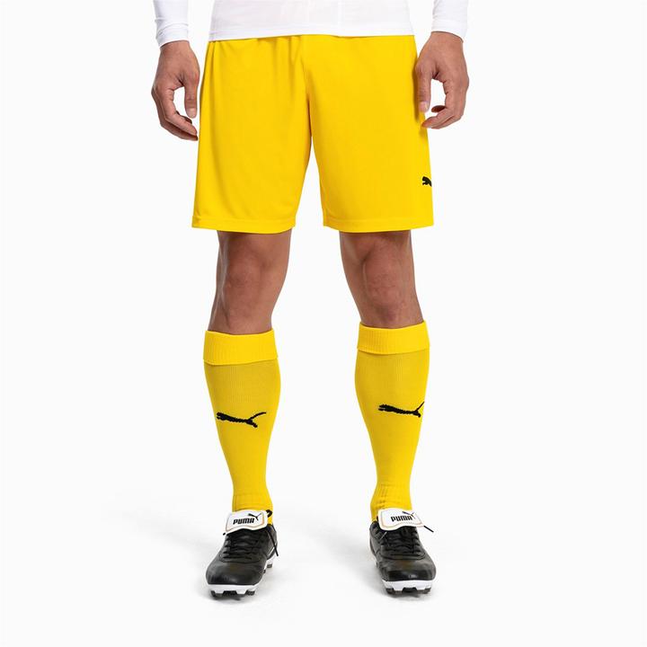 Actual product image Puma Team LIGA Socks CORE-703441 (35, 39)