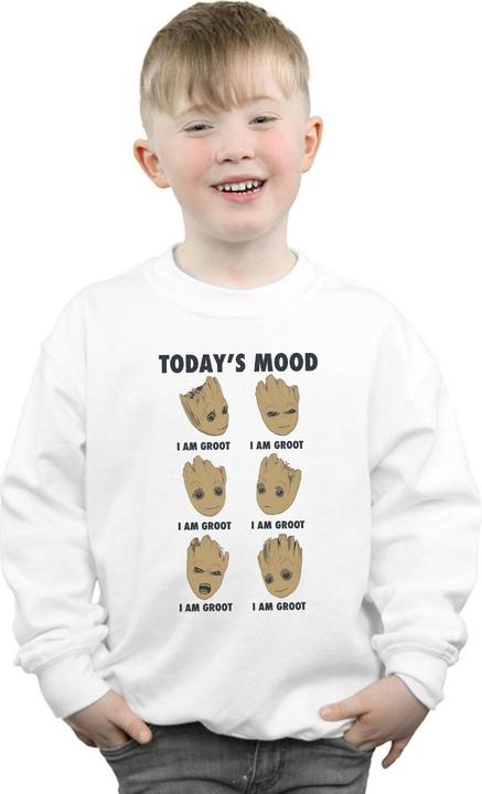 Actual product image Boys Guardians Of The Galaxy Groot Today's Mood Sweatshirt (140, 146)