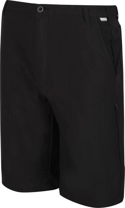 Actual product image Regatta Highton Shorts Hiking (48 D)