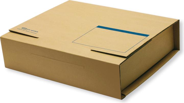 Elba CARTON D'EXPÉDITION POUR CLASSEUR 1 P.=20PCS (83530BR NOUVEAU : 100421125) (20 x)