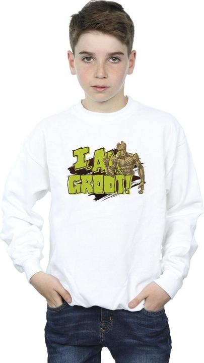 Immagine prodotto Guardians of the Galaxy I Am Groot Felpa Ragazzi (104)
