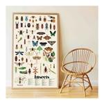 Actual product image Poppik Sticker Learning Poster Insects