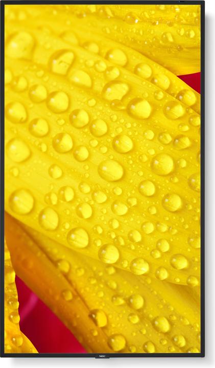 Actual product image Sharp M551-2 55IN UHD 500CD/SQM (3840 x 2160 Pixels, 55")