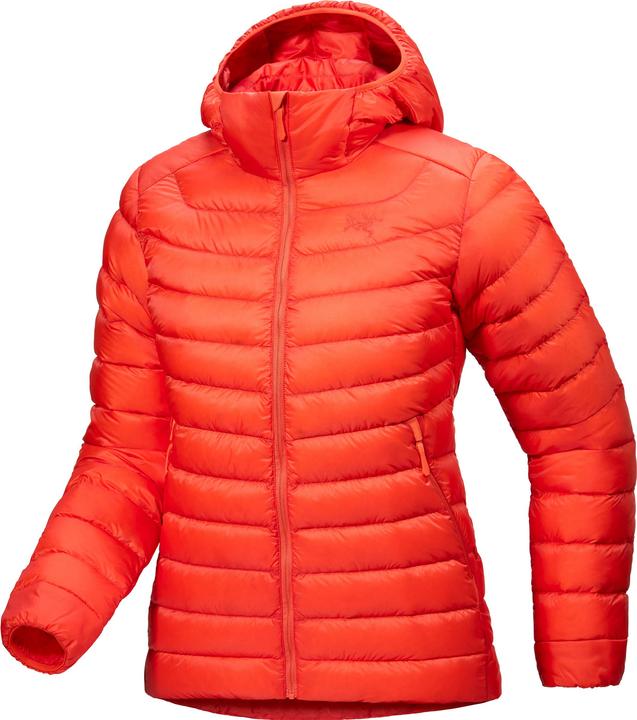 Arc'teryx Cerium Hoodie (M)