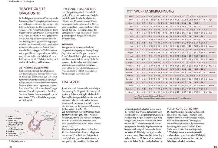 Produktbild Kosmos Hundezucht (Deutsch, Helga Eichelberg, 2022)