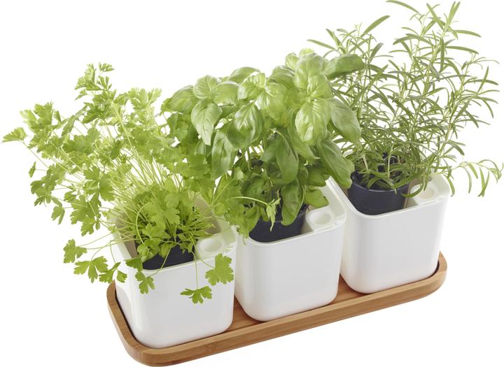 Immagine prodotto Orthex Eden (14 cm)