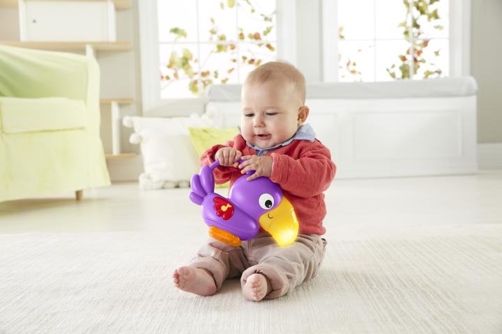 Immagine prodotto Fisher-Price Palestrina del Tucano
