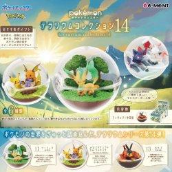 Produktbild Re-Ment Terrarium Collection Vol.14 (1 Random)