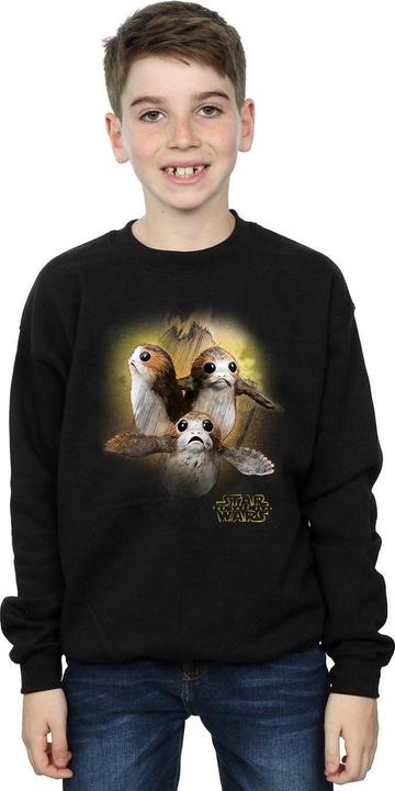 Actual product image Star Wars Boys The Last Jedi Porgs Brushed Sweatshirt (152, 158)