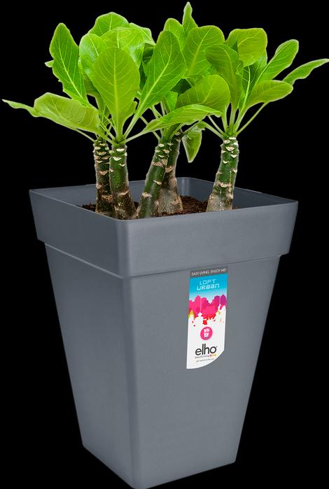 Image du produit Elho Loft Urbain (29.30 cm)