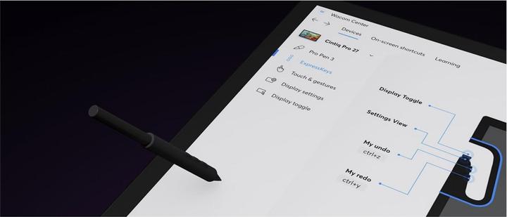 Actual product image Wacom Cintiq Pro 22 (22", 5080 lpi)