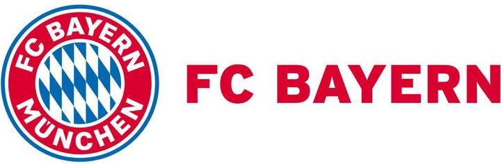 Produktbild FC Bayern München Logo mit Schriftzug (60 x 19 cm)