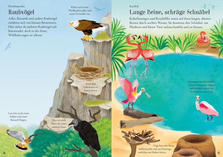 Actual product image My ever-again sticker book: Birds