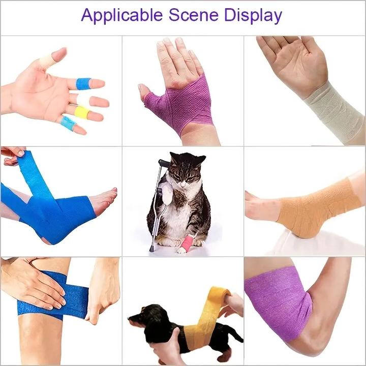 Image du produit ASMI 2 Stück selbsthaftender elastischer Pflasterverband (2 x)