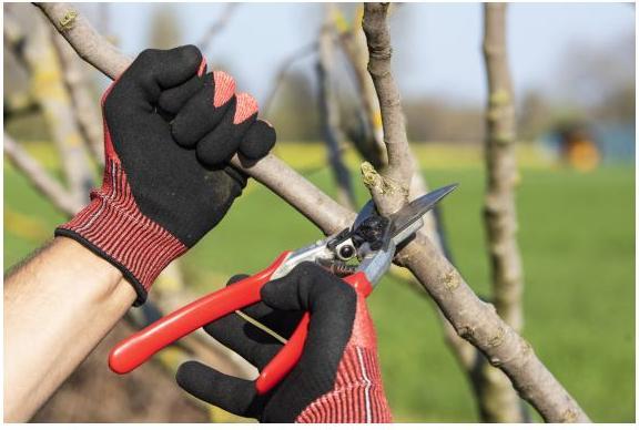 Image du produit Felco Gant de jardinage (M)