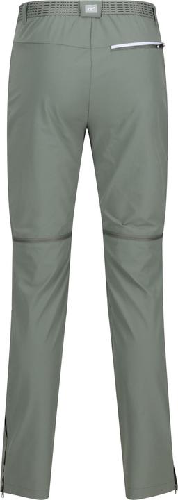 Actual product image Regatta Mens Mountain Zip-Off Trousers (52 D)