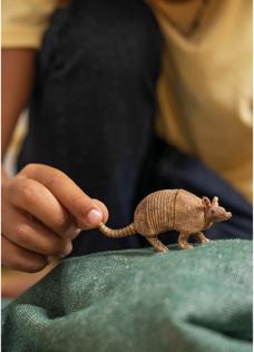 Actual product image Schleich Armadillo