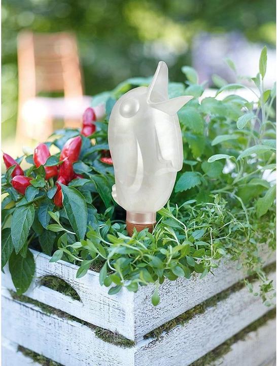 Actual product image Scheurich Bördy XL (Clay cone)