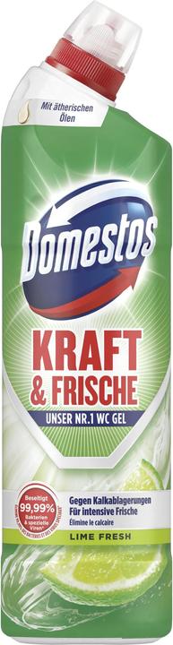 Actual product image Domestos Gel WC LIME 12x750ML