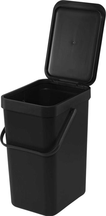 Productafbeelding Brabantia Sorteren en gaan (12 l)