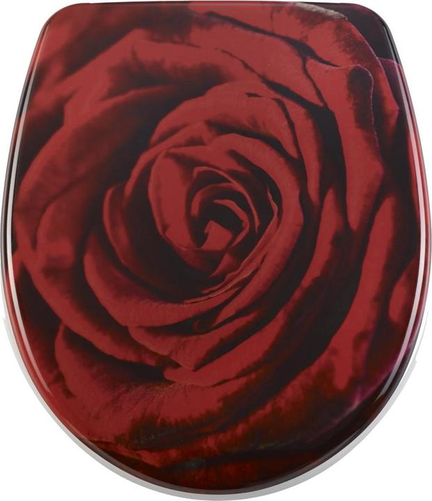 Image du produit Diaqua Rose
