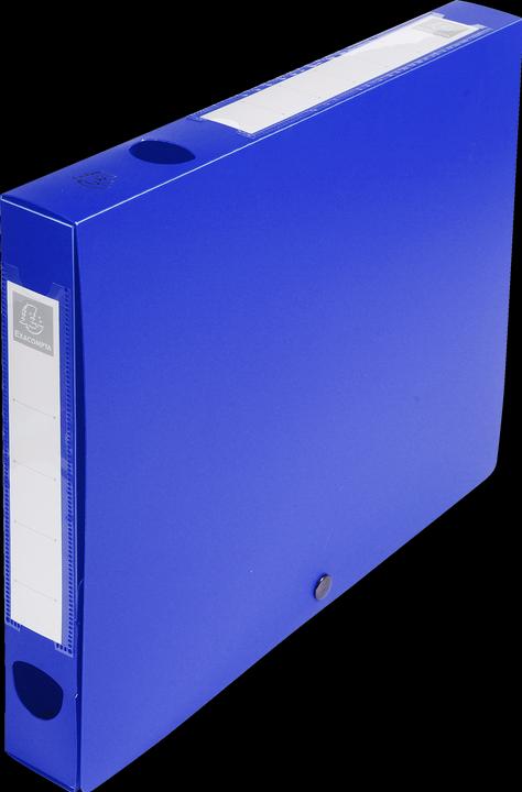 Exacompta Archive boxes (A4)