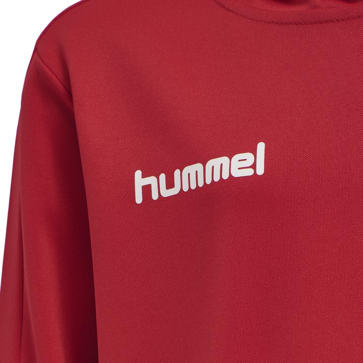 Image du produit hummel Promo Kids Poly Hoodie (176)