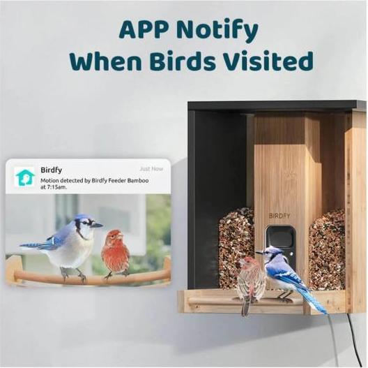 Produktbild Birdfy Futterautomat Bamboo AI im Abonnement + Solarpanel