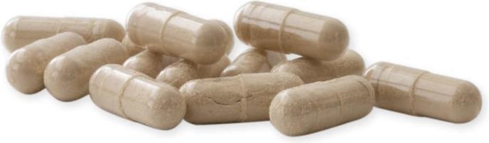 Image du produit Raab Mélisse Valériane avec Houblon et Lavande Bio (60 pièce(s), Capsules)