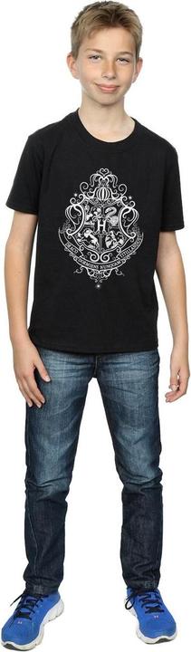Actual product image Boys Hogwarts Draco Dormiens Crest T-Shirt (116)