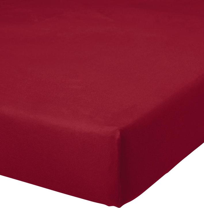 Buona Notte Jersey Fixleintuch (140-160 x 200 cm)