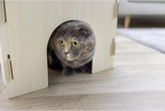 Image du produit Kerbl Château pour chats 37x37x30 cm avec coussin (Jouet à gratter chat)