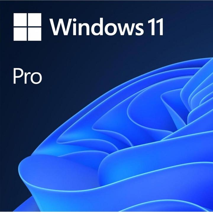 Microsoft Windows 11 Pro (1 User, unlimited)