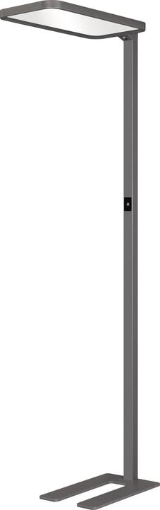 Produktbild Hansa Stehleuchte Saphir LED Anthrazit (7500 lm)
