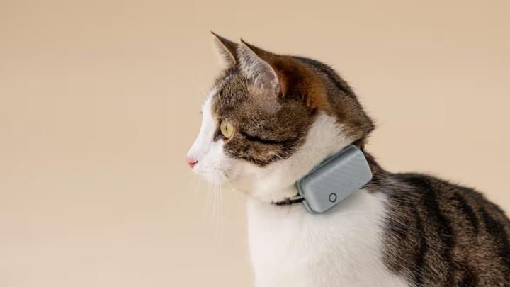 Produktbild Tractive GPS Mini (One Size, Katze, Allgemein)