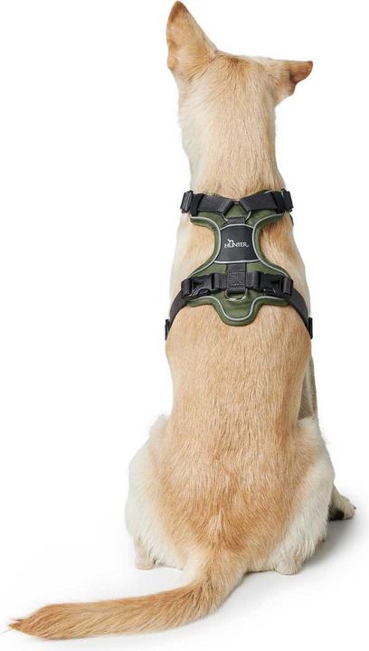 Actual product image Hunter Divo tableware (M, Dog, Dog sport)