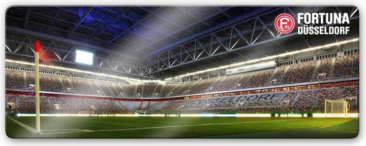 Produktbild Fortuna Düsseldorf Esprit Arena Eckfahne (40 x 100 cm)