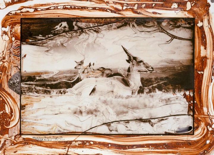 Produktbild Peter Beard (Deutsch, Englisch, Französisch, David Fahey, Owen Edwards, Steven M. L. Aronson, Nejma Beard, 2020)