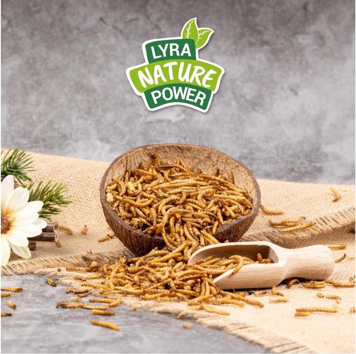 Produktbild Lyra Pet Mehlwürmer getrocknet (10 kg, 1 x)