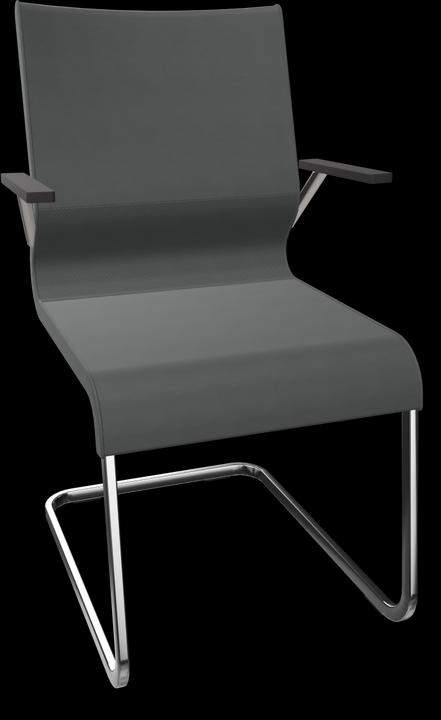 Image du produit Züco LACINTA Comfortline Freischwinger